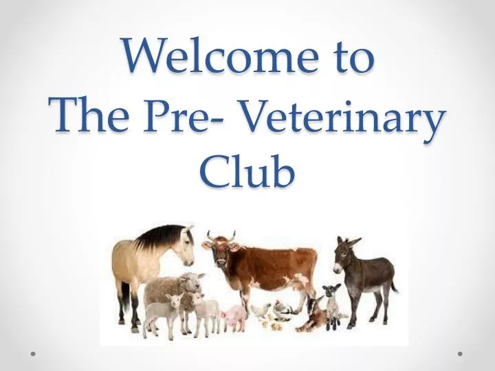 welcome to the pre veterinary club