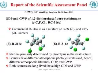 Report of the Scientific Assessment Panel