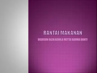 rantai makanan