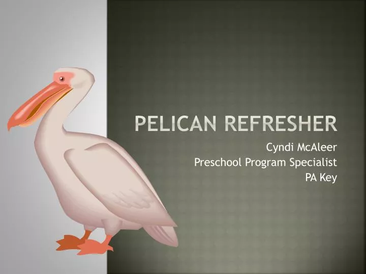 pelican refresher