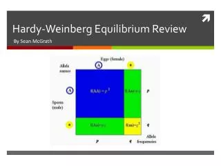 Hardy-Weinberg Equilibrium Review