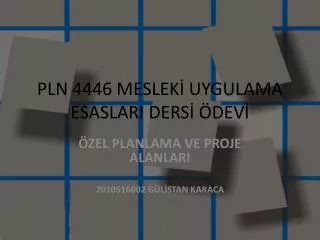 pln 4446 meslek uygulama esaslari ders dev