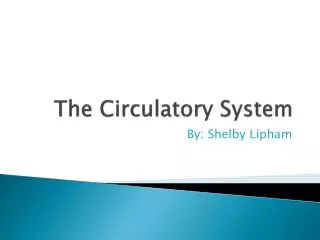 the circulatory system