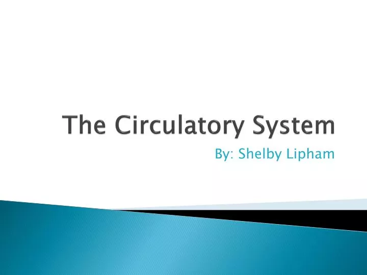the circulatory system