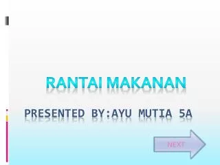 presented by ayu mutia 5a