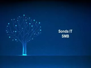 sonda it smb
