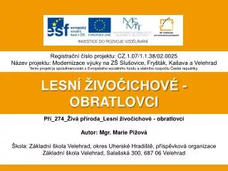 lesn ivo ichov obratlovci