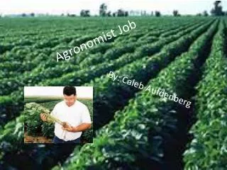 Agronomist Job