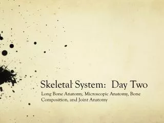 Skeletal System: Day Two