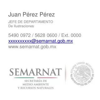 Juan P é rez P é rez JEFE DE DEPARTAMENTO D e Ilustraciones 5490 0972 / 5628 0600 / Ext. 0000