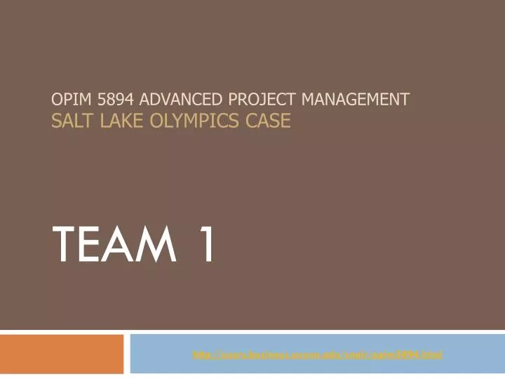 opim 5894 advanced project management salt lake olympics case