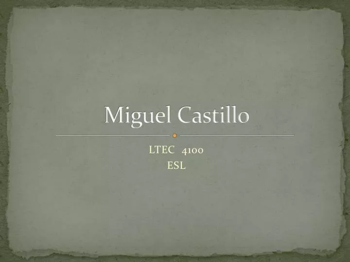 miguel castillo