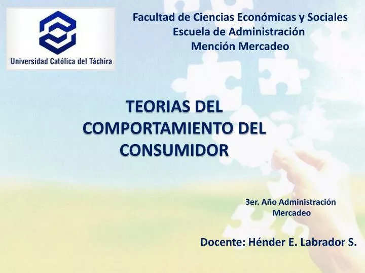 teorias del comportamiento del consumidor