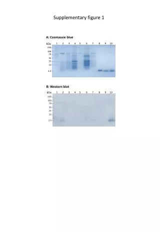 Supplementary figure 1