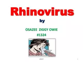 Rhinovirus by