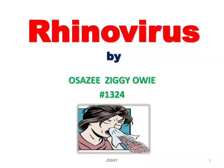 rhinovirus by