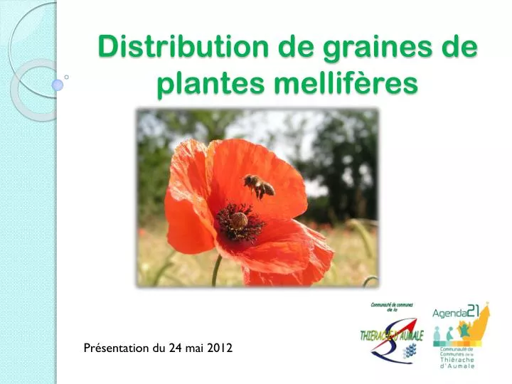 distribution de graines de plantes mellif res