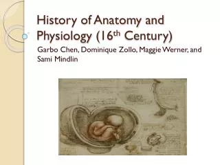 History of Anatomy and Physiology (16 th Century)