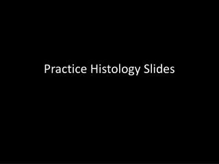 Practice Histology Slides