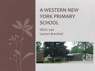 A Western New York Primary School