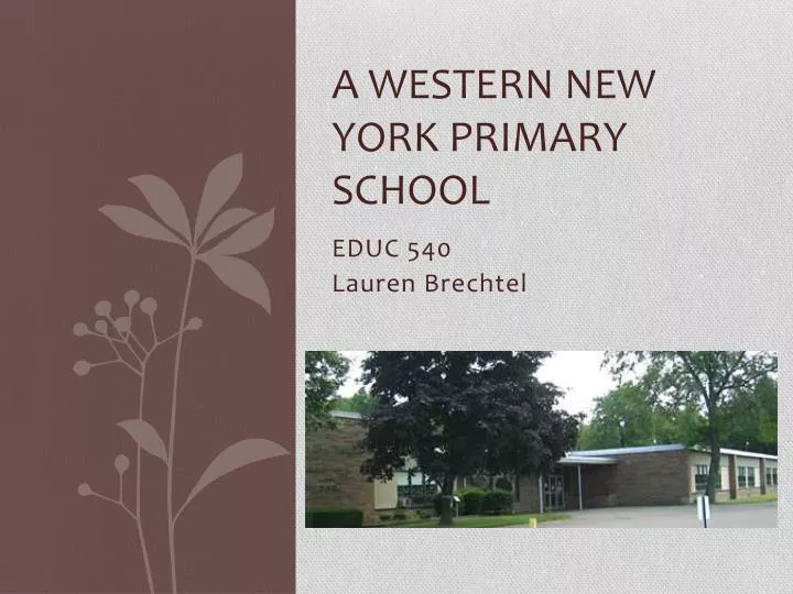 a western new york primary school