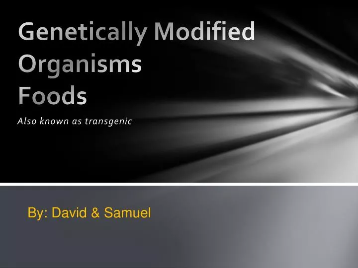 genetically modified organisms foods