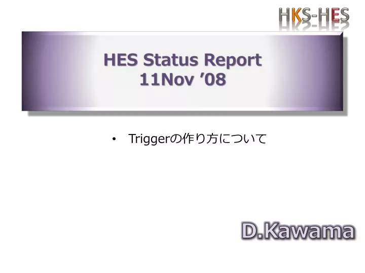 hes status report 11nov 08