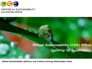 Virtual Sustainability (CSR) Office Coaching for Sustainability