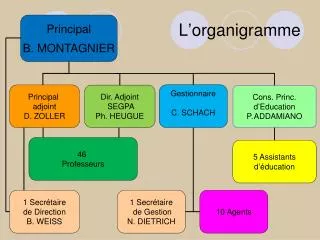 l organigramme
