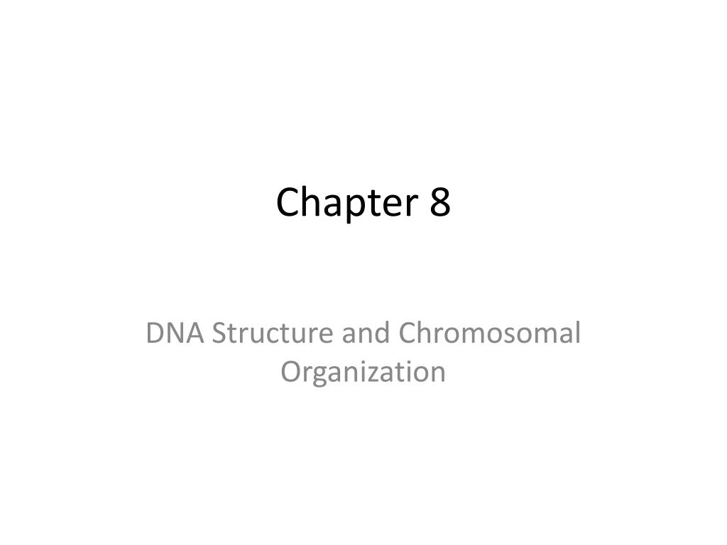 PPT - Chapter 8 PowerPoint Presentation, free download - ID:3236148