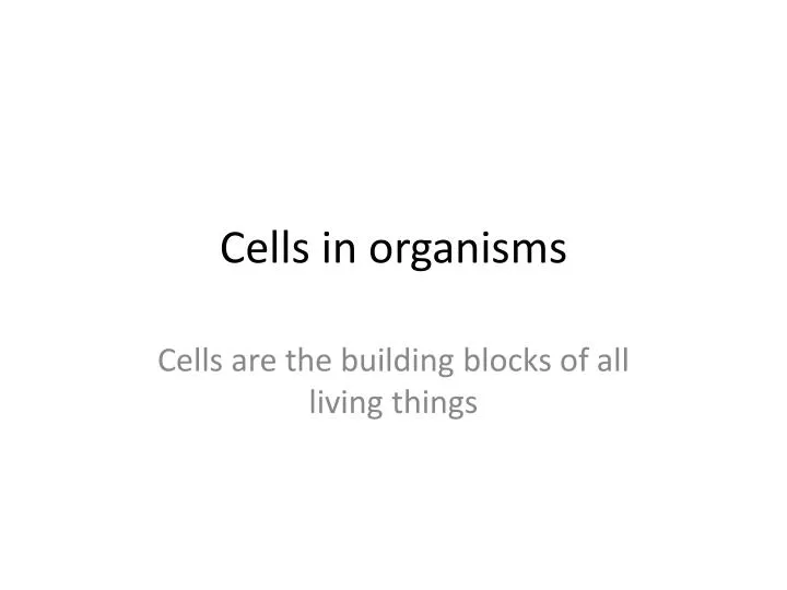 cells in organisms