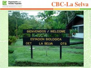 cbc la selva