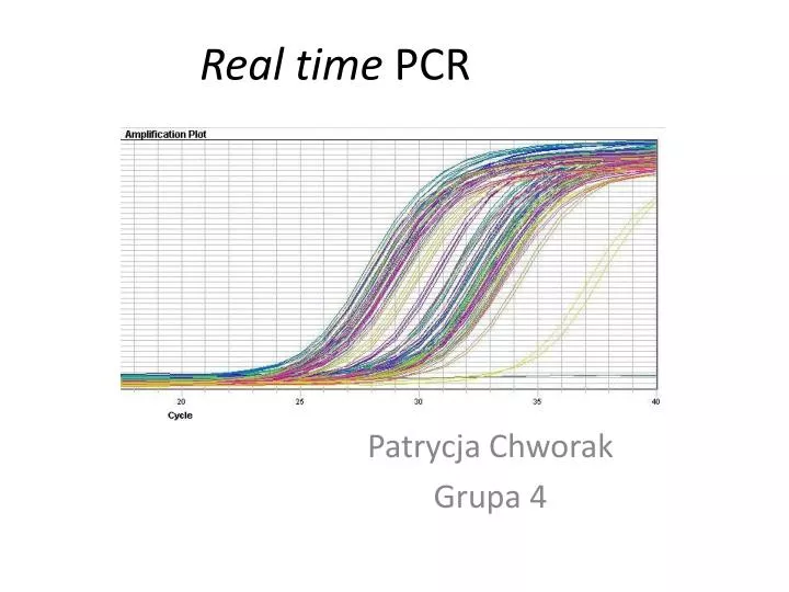 real time pcr