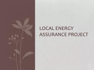 Local Energy Assurance Project