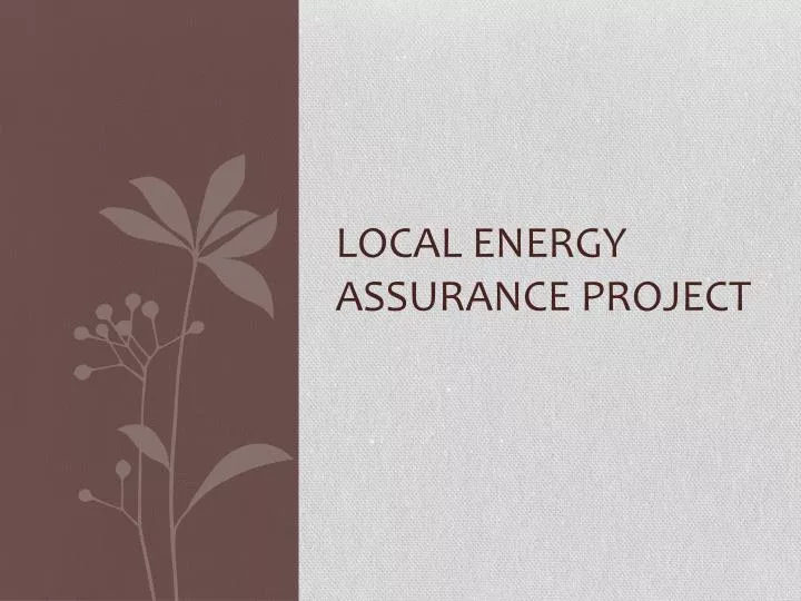 local energy assurance project