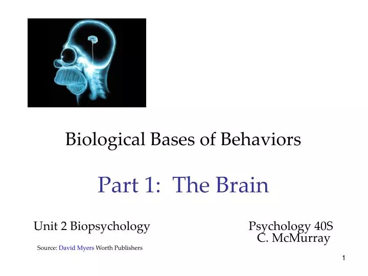 biological bases of behaviors part 1 the brain unit 2 biopsychology psychology 40s c mcmurray