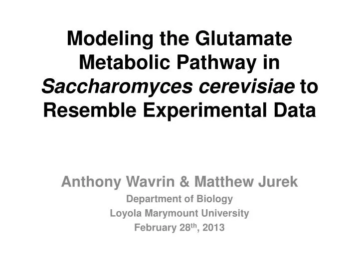 modeling the glutamate metabolic pathway in saccharomyces cerevisiae to resemble experimental data