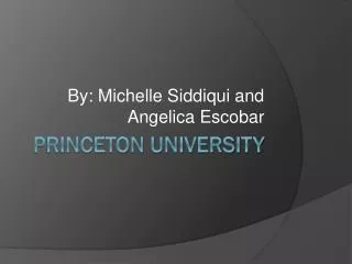 Princeton Universit y