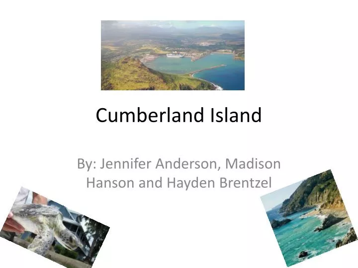 cumberland island