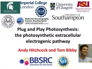 Plug and Play Photosynthesis: the photosynthetic extracellular electrogenic pathway