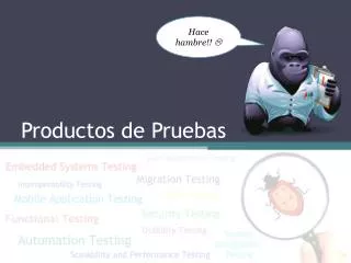 productos de pruebas