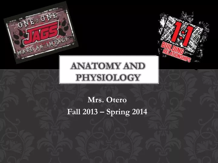 anatomy and physiology