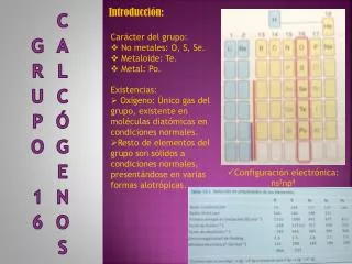 grupo 16 calc genos