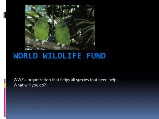 World Wildlife fund Fund