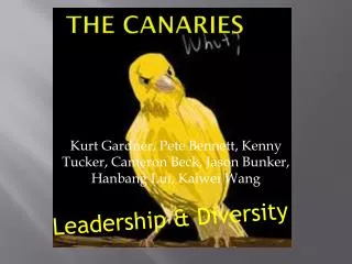 The Canaries