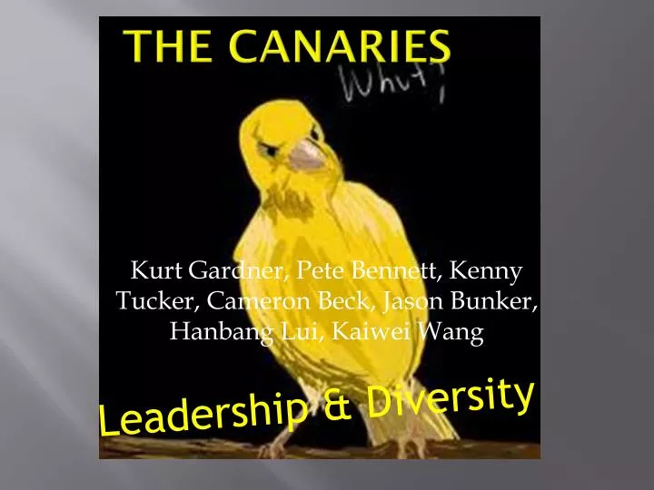 the canaries