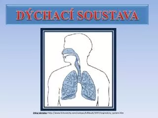 d chac soustava