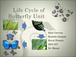 Life Cycle of Butterfly Unit