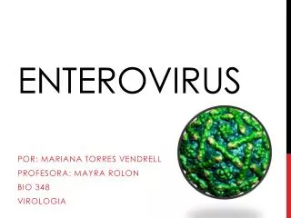 enterovirus