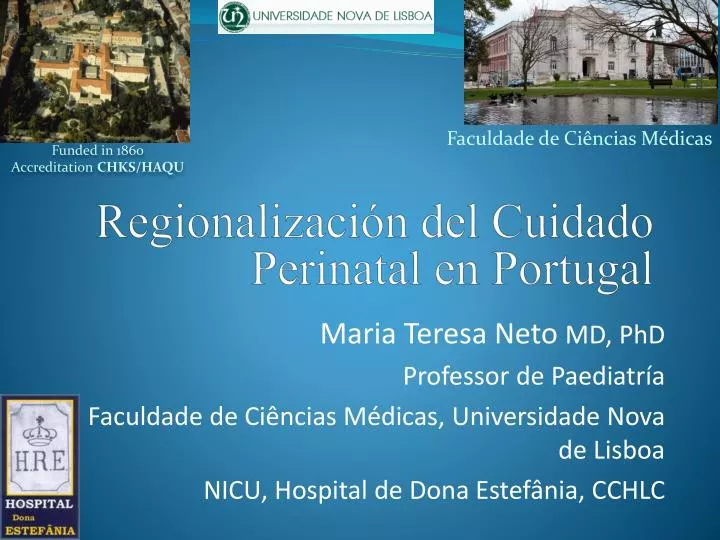 regionalizaci n del cuidado perinatal en portugal